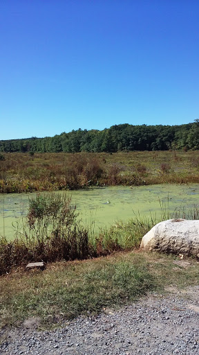 Winery «Bashakill Vineyards», reviews and photos, 1131 S Rd, Wurtsboro, NY 12790, USA