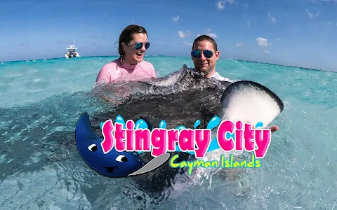 Stingray City Cayman Islands image