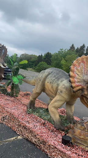 Convenience Store «Speedway», reviews and photos, 5499 Grand Ave, Gurnee, IL 60031, USA