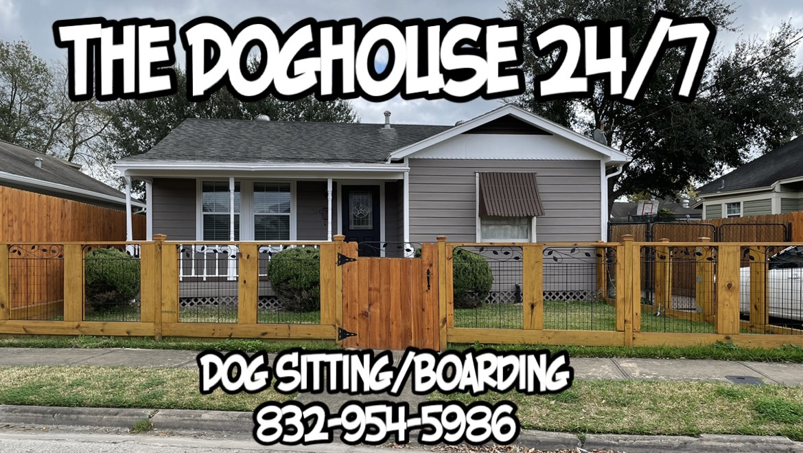 The Doghouse 24/7