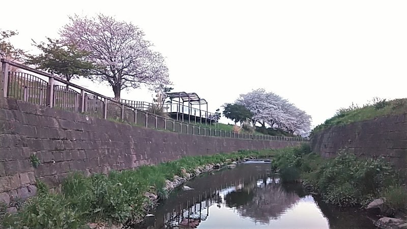 越戸川の桜並木