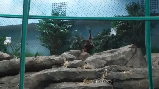 Zoo «Wild Kingdom Pavilion», reviews and photos, 3701 S 10th St, Omaha, NE 68108, USA