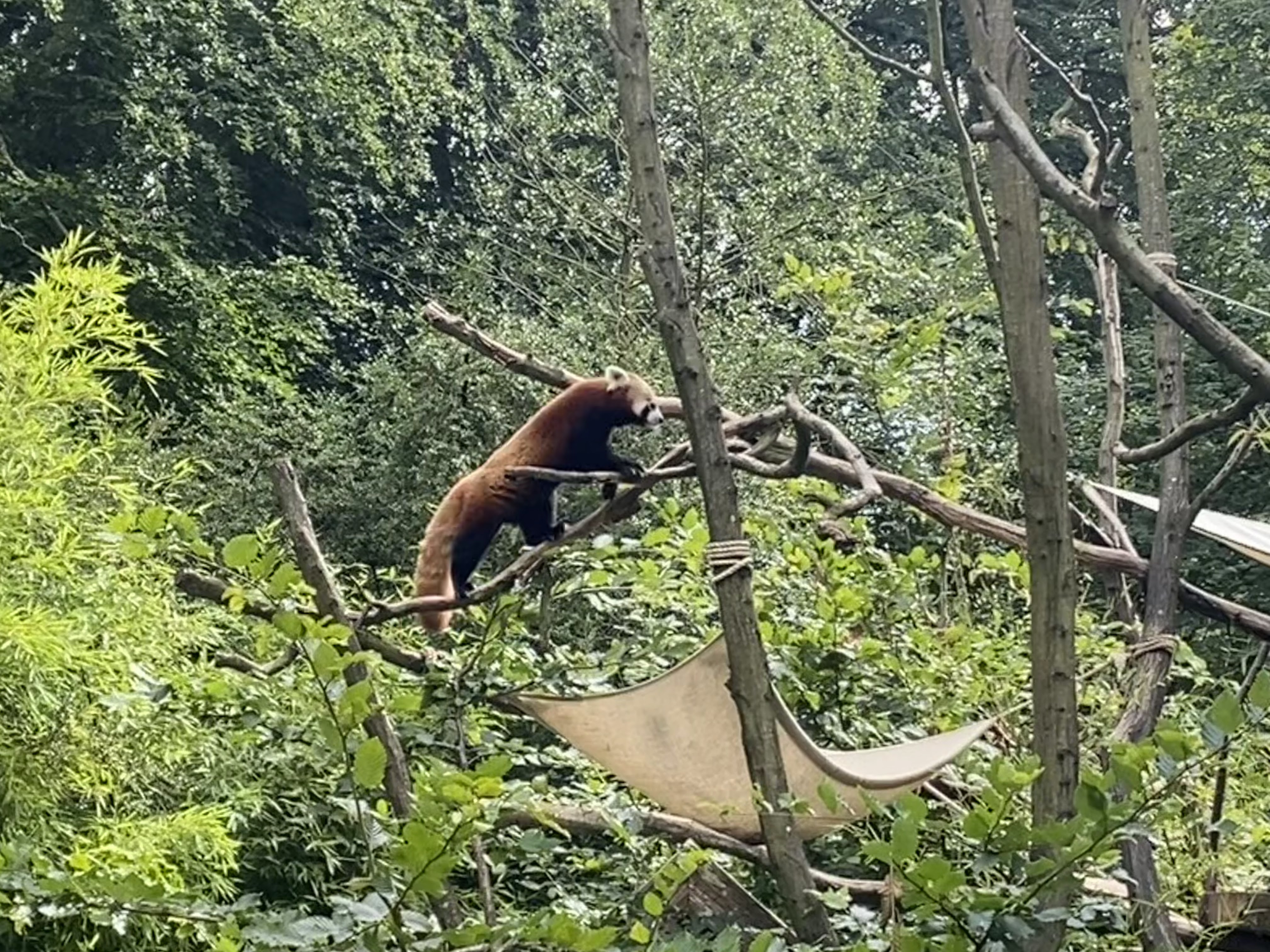 Photo n° 25 de l'avis de Mickael.e fait le 11/08/2023 à 05:54