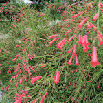 Photo n°5 de l'avis de Zigmas.a fait le 01/10/2021 à 10:27 sur le  Le Roccette Mare à Tropea