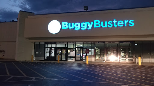 BuggyBusters