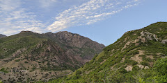 Ferguson Canyon Trail Head