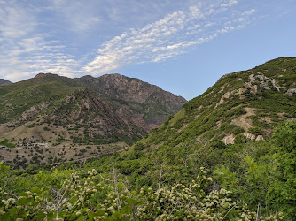 Ferguson Canyon Trail Head
