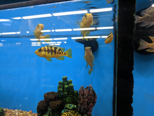 Pet Supply Store «Pet Supplies Plus», reviews and photos, 1240 Seminole Trail, Charlottesville, VA 22901, USA