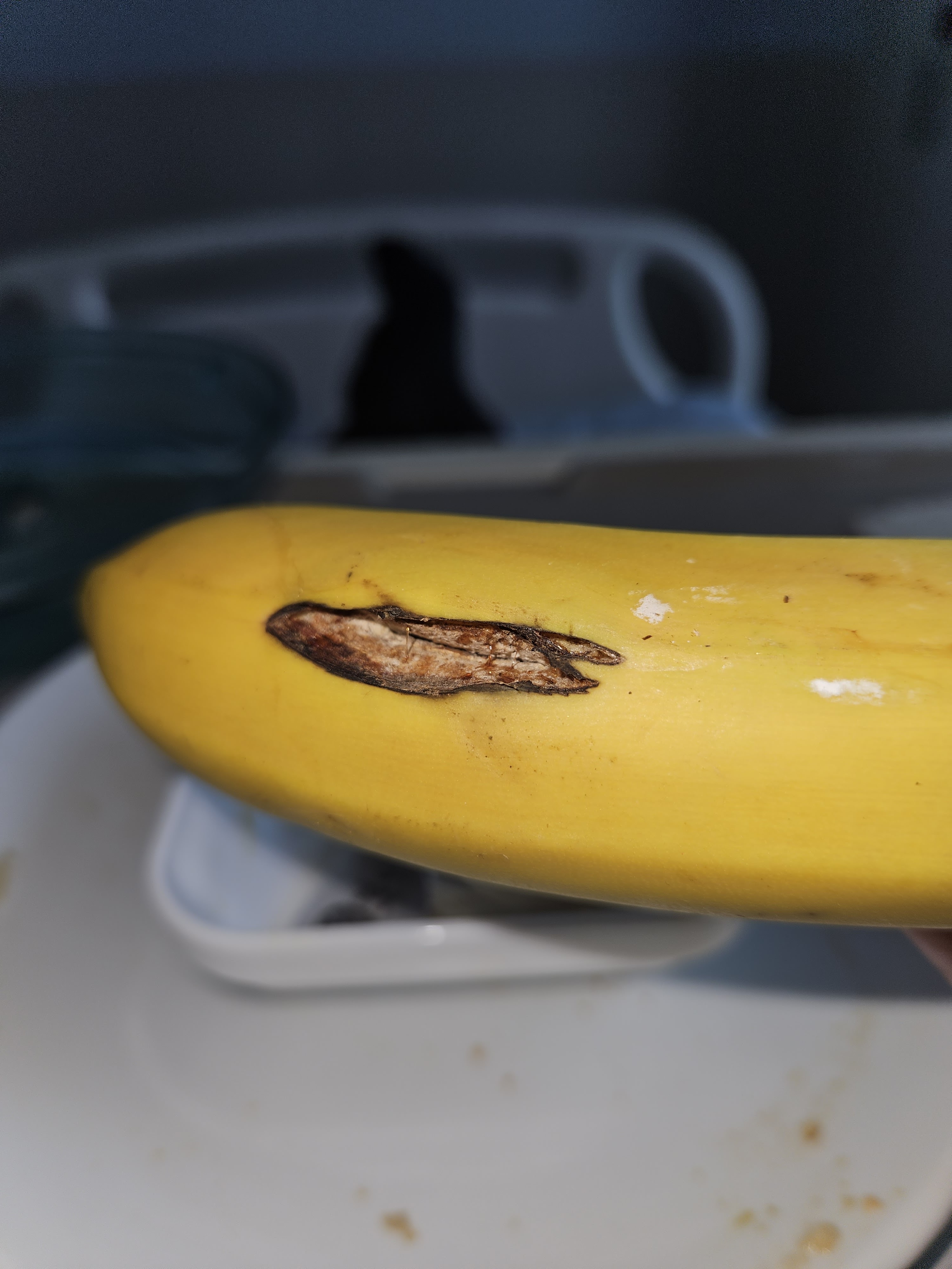 Photo n° 1 de l'avis de Cedric.o fait le 26/03/2024 à 11:33