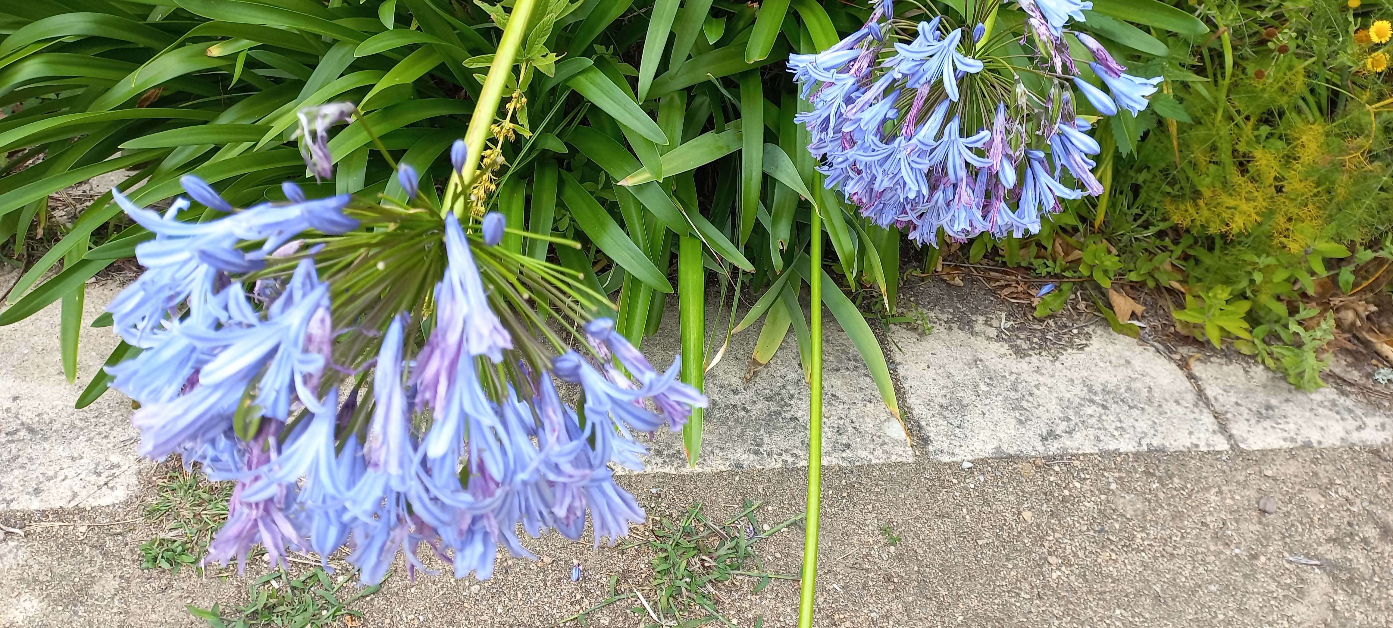 Photo n° 2 de l'avis de Mille.l fait le 31/07/2023 à 16:42