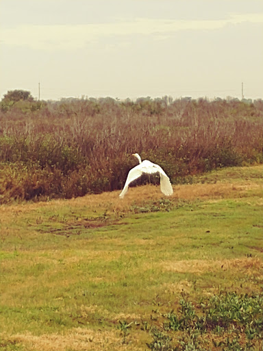 Monument «Fort Pulaski National Monument», reviews and photos, US-80, Savannah, GA 31410, USA
