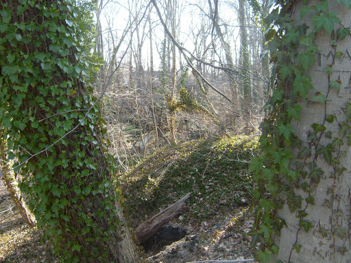 Historical Place «Hadrosaurus Foulki Leidy Site», reviews and photos, Maple Ave, Haddonfield, NJ 08033, USA