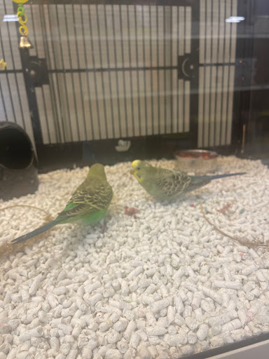 Pet Supply Store «Petco Animal Supplies», reviews and photos, 1945 W Palmetto St #250, Florence, SC 29501, USA