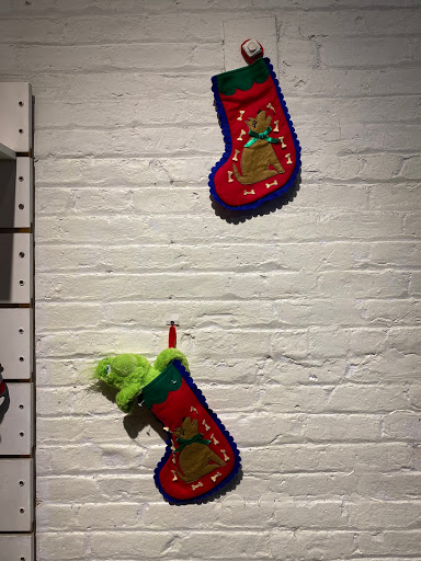 Pet Supply Store «PS9 Pets», reviews and photos, 169 N 9th St, Brooklyn, NY 11211, USA