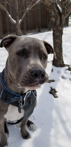 Park «Pulaski Park», reviews and photos, 3300 E Bayaud Ave, Denver, CO 80209, USA