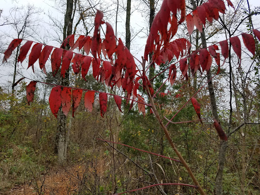 National Park «Stones River National Battlefield», reviews and photos, 3501 Old Nashville Hwy, Murfreesboro, TN 37129, USA