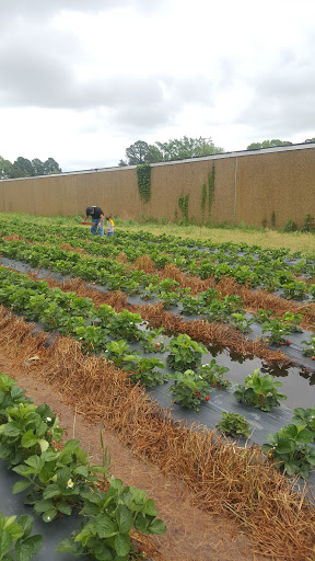 Wood's Orchards