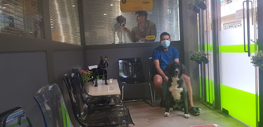 Centro Veterinario Naturvet en Sant Boi de Llobregat