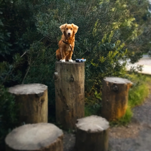 Park «Kirke Park», reviews and photos, 7028 9th Ave NW, Seattle, WA 98117, USA