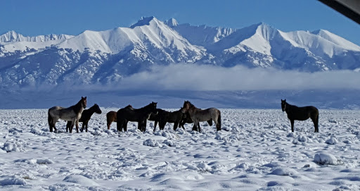 Pet Supply Store «Pet Club Wheat Ridge», reviews and photos, 4975 Kipling St #B, Wheat Ridge, CO 80033, USA