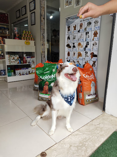 Logo da empresa - Pet+Pet