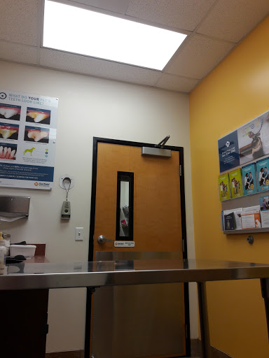 Pet Supply Store «PetSmart», reviews and photos, 2920 Little Rd, Trinity, FL 34655, USA