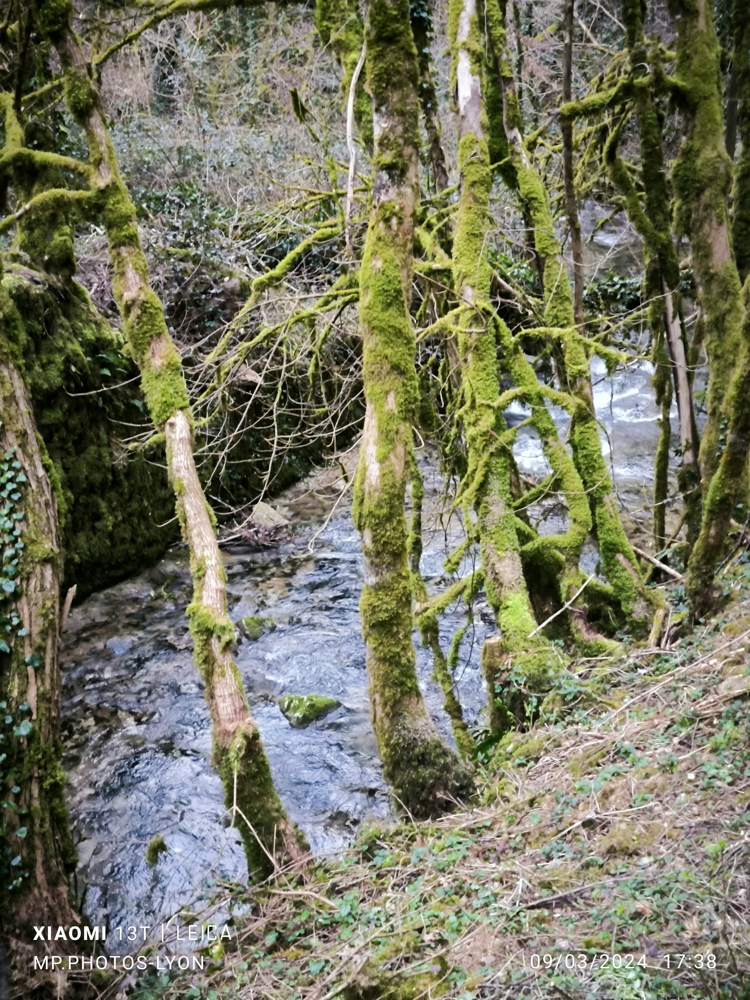 Photo n° 22 de l'avis de MARC.O fait le 17/03/2024 à 17:58
