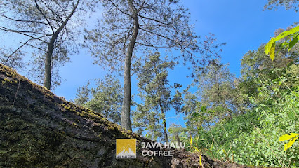 Java Halu Coffee Farm