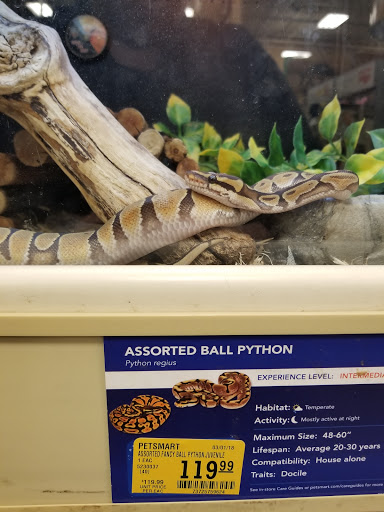 Pet Supply Store «PetSmart», reviews and photos, 1072 Bullsboro Dr, Newnan, GA 30265, USA