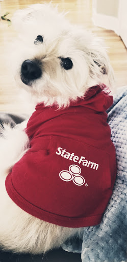 Insurance Agency «Paul Fudym - State Farm Insurance Agent», reviews and photos