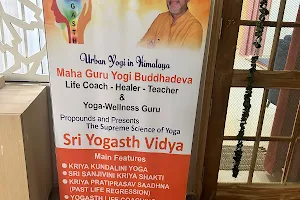 Yogasth Vidya Rishikesh image