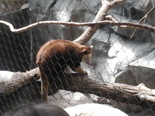 Gift Shop «Minnesota Zoo Gift Shop», reviews and photos, 13000 Zoo Blvd, Apple Valley, MN 55124, USA