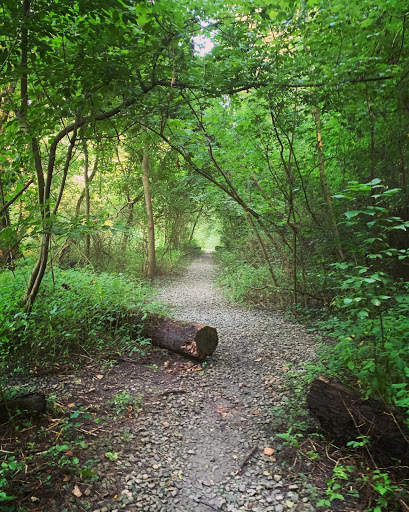 Zonolite Trail