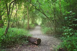 Zonolite Trail image