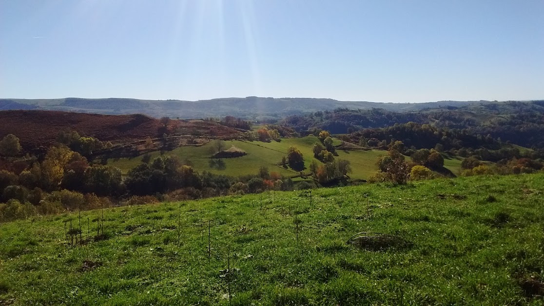 Hortiver Lombriculture Camping à La Ferme à Laroquevieille (Cantal 15)