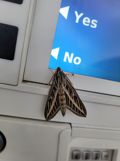 Car Wash «Pumphouse Car Wash & Lube», reviews and photos, 2504 N Poplar St, Leadville, CO 80461, USA