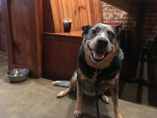 Brewery «Black Warrior Brewing Company», reviews and photos, 2216 University Blvd, Tuscaloosa, AL 35401, USA