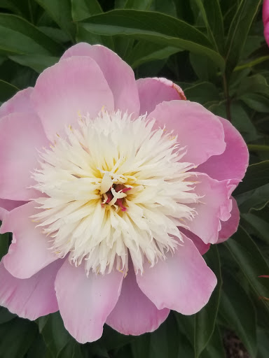 Golf Club «Kinloch Golf Club», reviews and photos, 100 Kinloch Ln, Manakin-Sabot, VA 23103, USA