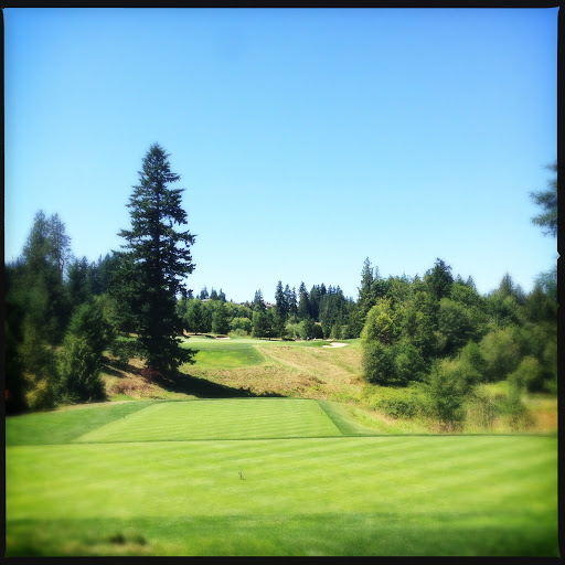 Private Golf Course «Aldarra Golf Club», reviews and photos, 29125 SE Duthie Hill Rd, Sammamish, WA 98075, USA