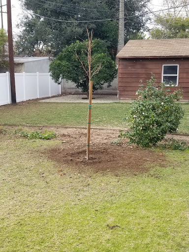 Pasadena Gardening and Tree Service