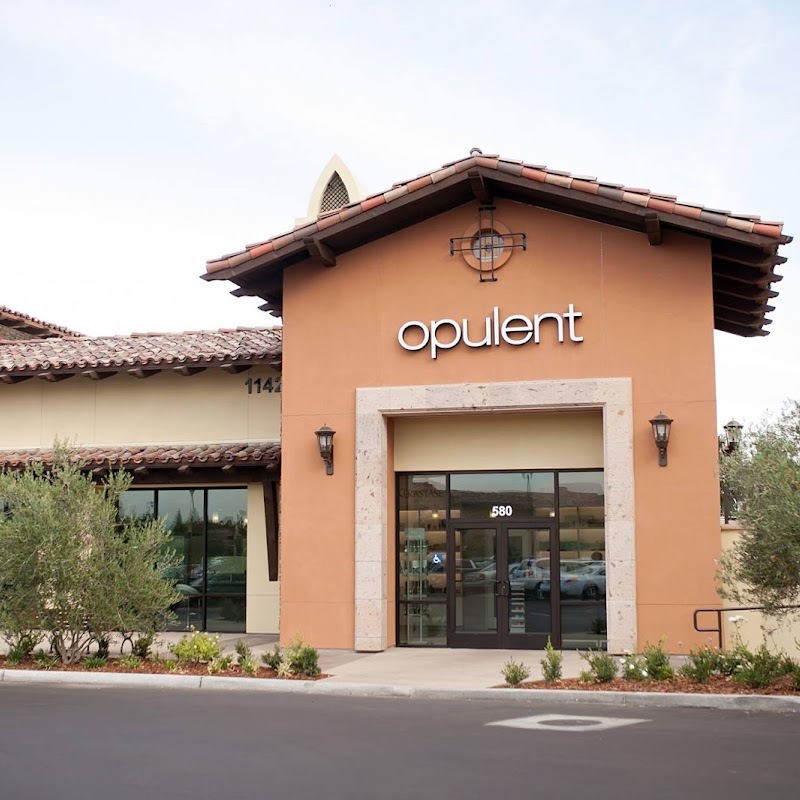 Opulent Day Spa