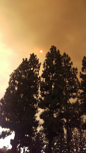 Pet Supply Store «Petco Animal Supplies», reviews and photos, 12800 Ventura Blvd, Studio City, CA 91604, USA