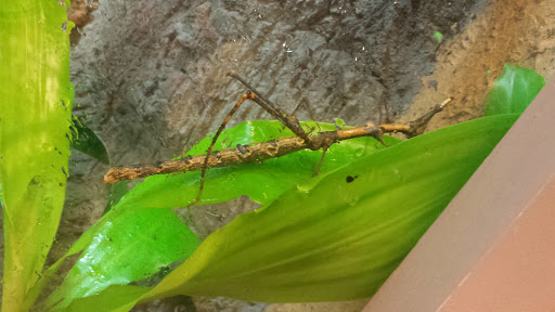 Foundation «The Henry Doorly Zoo», reviews and photos, 3701 S 10th St, Omaha, NE 68107, USA