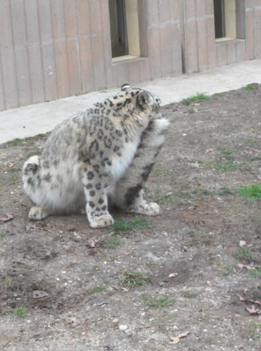 Golf Club «Stone Harbor Golf Club», reviews and photos, 905 U.S. 9, Cape May Court House, NJ 08210, USA