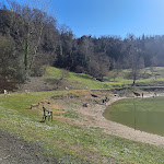 Photo n°2 de l'avis de Sara.i fait le 04/03/2023 à 13:57 sur le  Enjoy Park - Parco Santa Barbara à Località