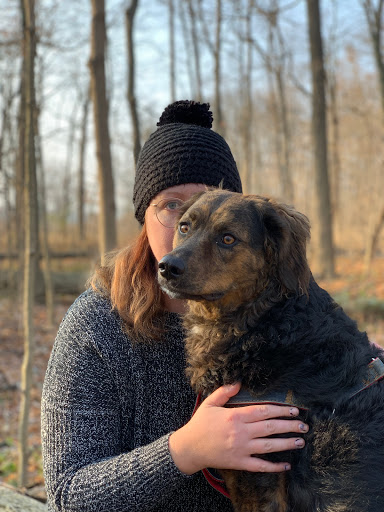 Nature Preserve «Meltzer Woods», reviews and photos, 1522 S 600 E, Shelbyville, IN 46176, USA