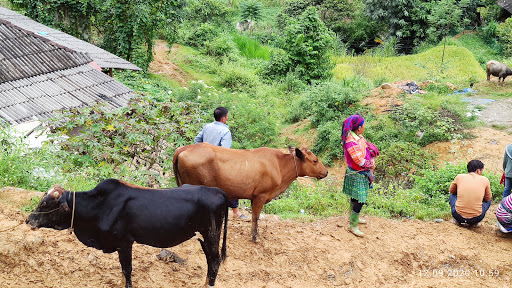 Top 20 các cửa hàng dkbike Huyện Xi Ma Cai Lào Cai 2022