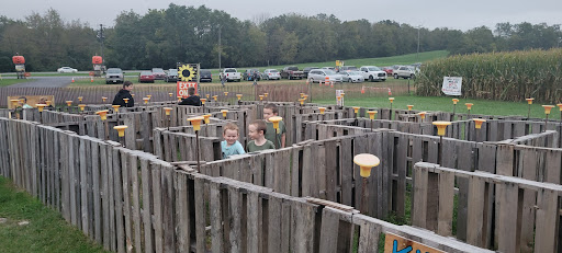 Tourist Attraction «Oregon Dairy Corn Maze», reviews and photos, 1289 Creek Rd, Lititz, PA 17543, USA