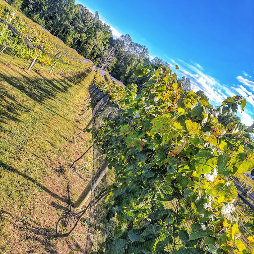 Winery «Saudé Creek Vineyards», reviews and photos, 16230 Cooks Mill Rd, Lanexa, VA 23089, USA