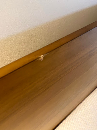 Moving Company «Berger Allied Moving & Storage», reviews and photos, 5115 W Clifton St, Tampa, FL 33634, USA